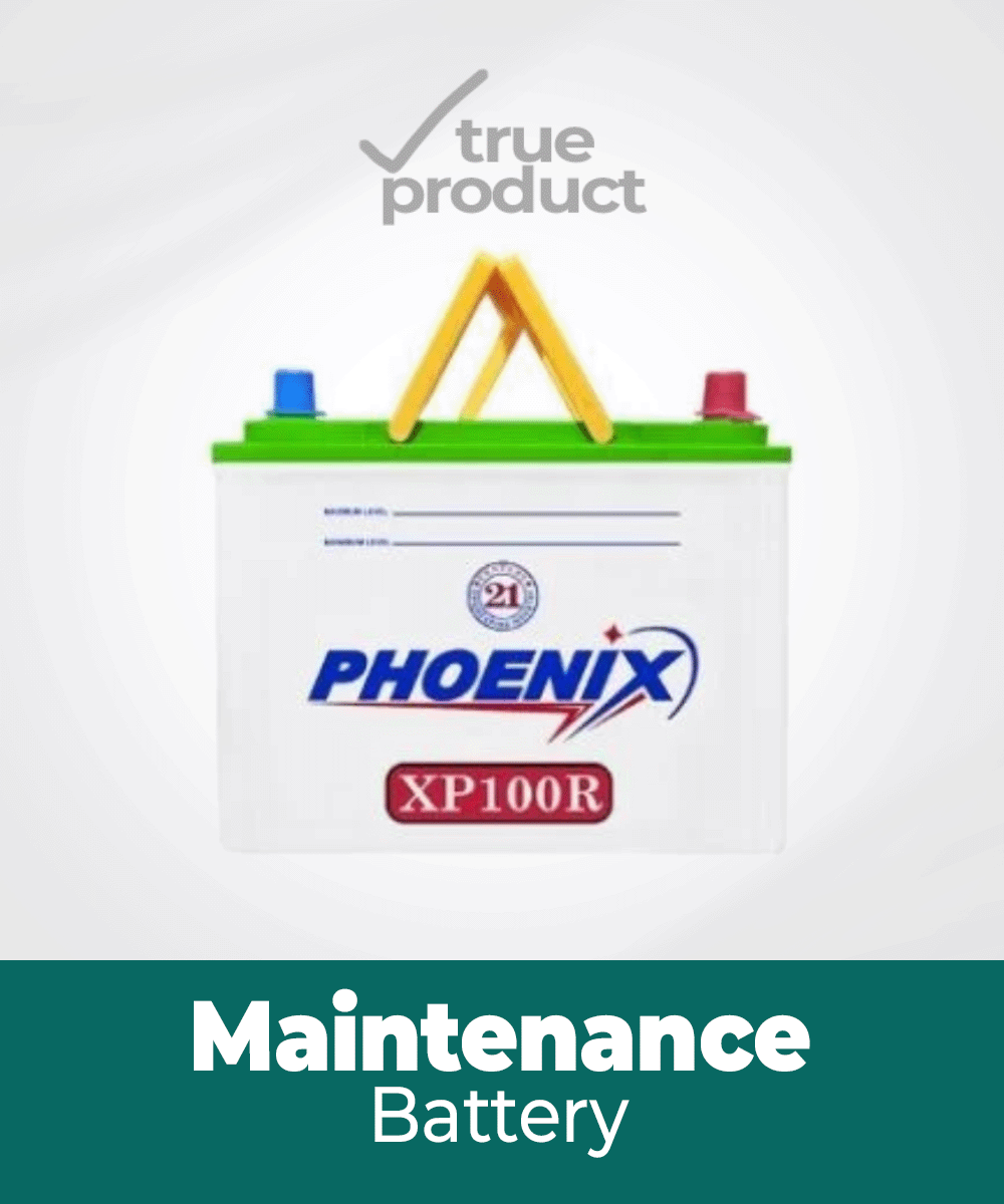 XP-100 | 13Plates | 72Ah