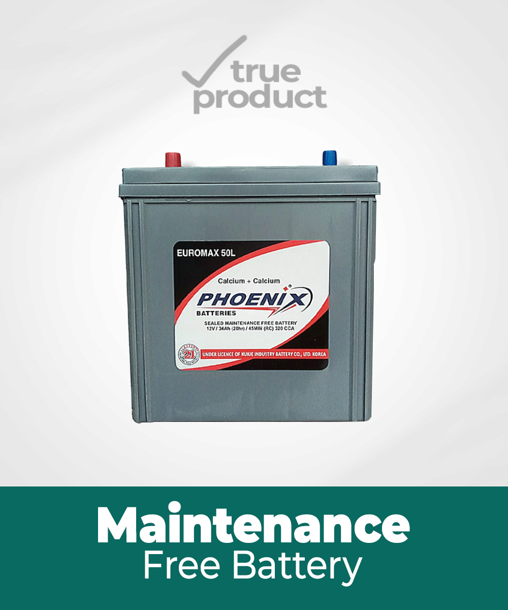 EURO-55 | 11Plates | 34Ah