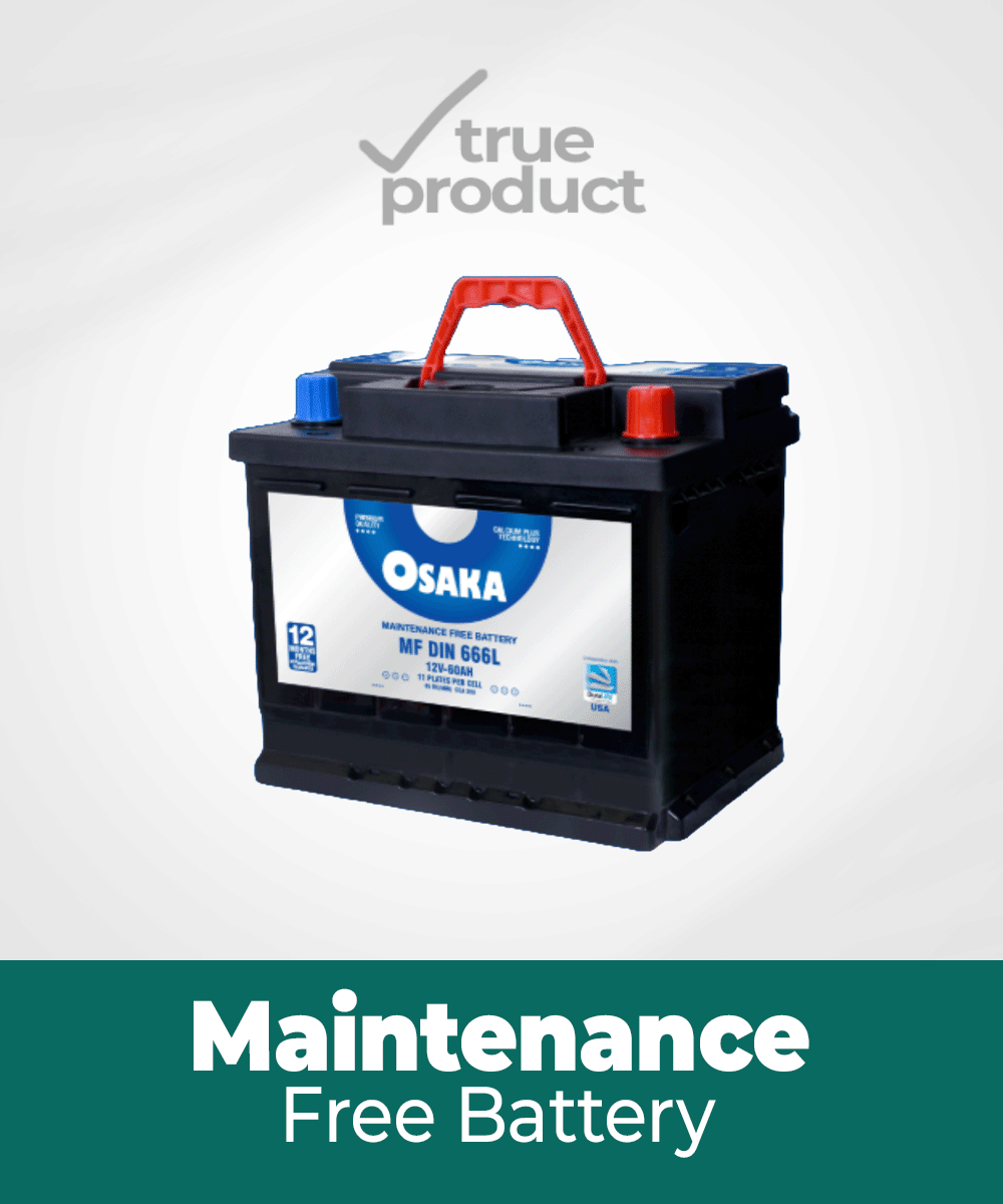 MF-D666 | 11Plates | 60Ah