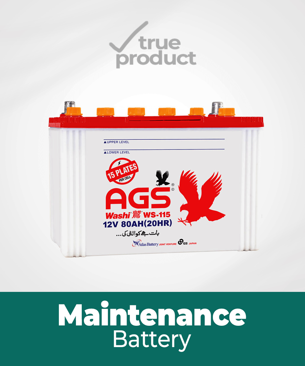 WS-115 | 15Plates | 80Ah