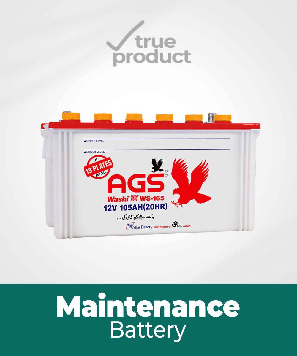 WS-165 | 19Plates | 105Ah