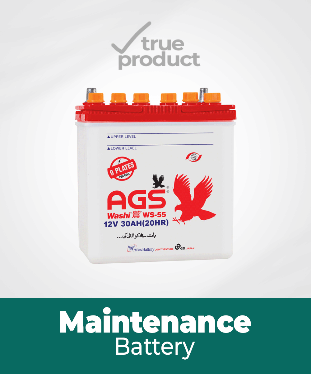 WS-55 | 9Plates | 30Ah