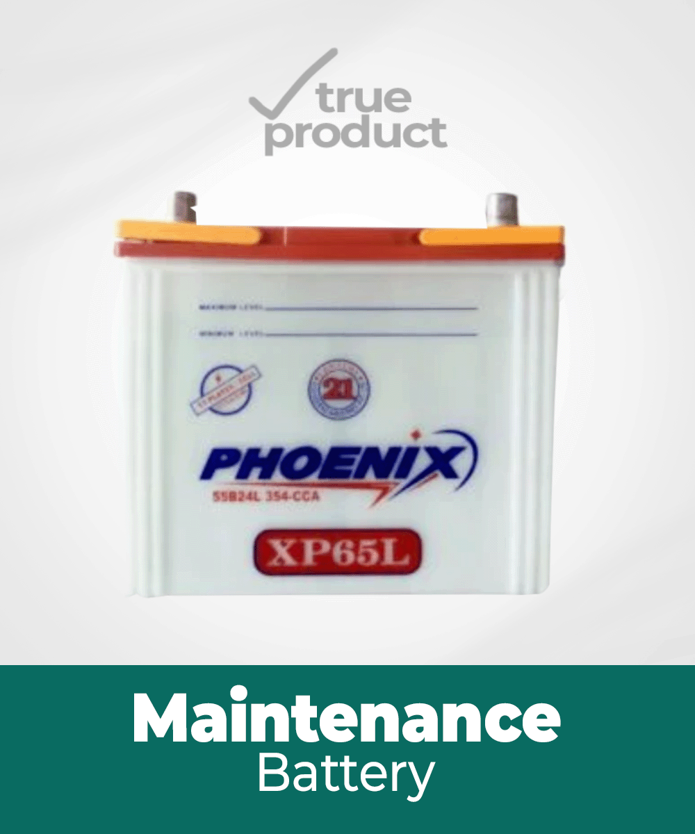 XP-65L | 11Plates | 40Ah